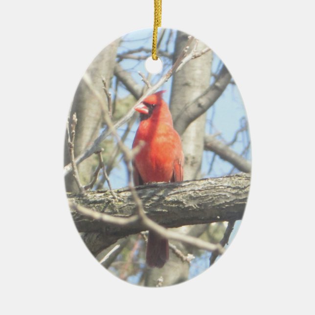 Pretty Red Cardinal Christmas Ceramic Ornament (Front)