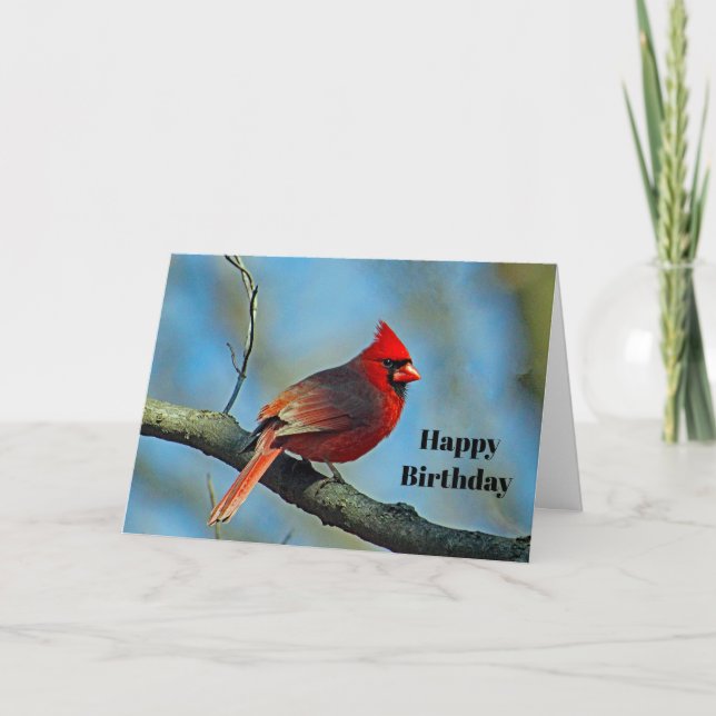 Pretty Red Cardinal Photo Birthday Card (Front)