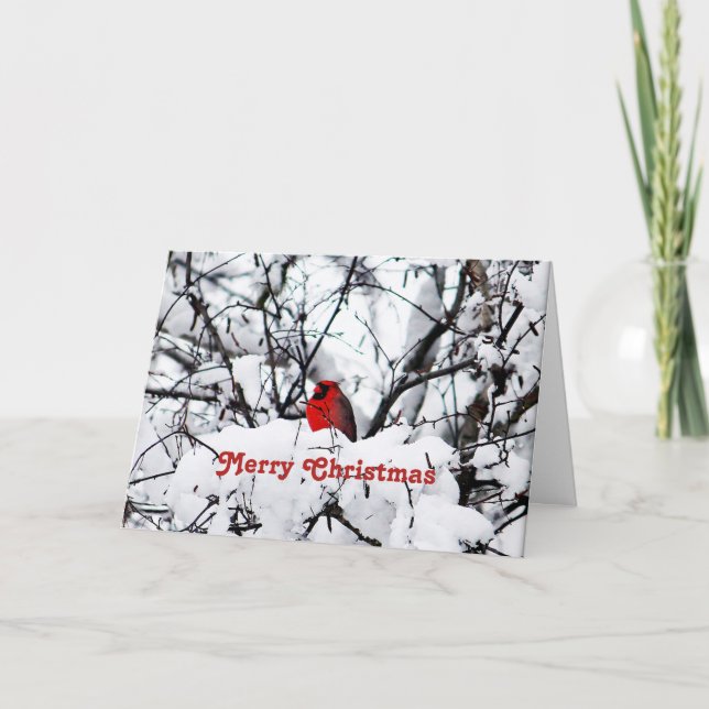 Pretty Red Cardinal Snow Photo Christmas Holiday Card (Front)