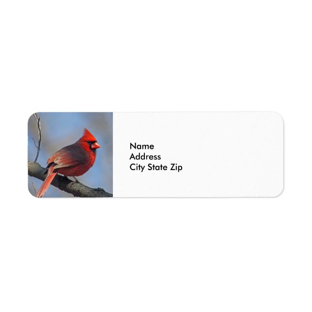 Pretty Red Cardinal Wildlife Label (Front)