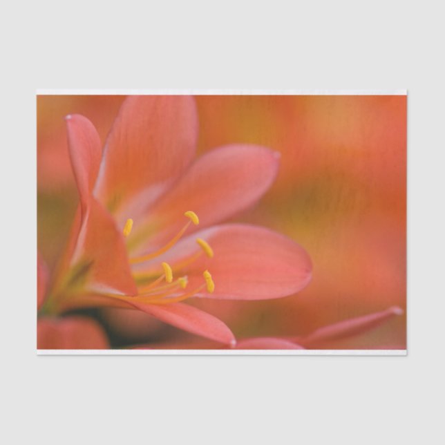 Pretty Red Clivia Flower Tissue Paper (Front)