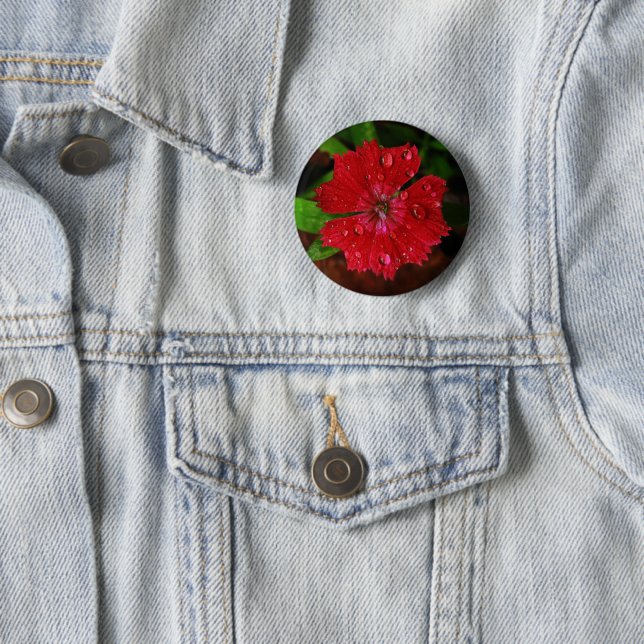 Pretty Red Dianthus Flower With Raindrops Photo Pinback Button (In Situ)
