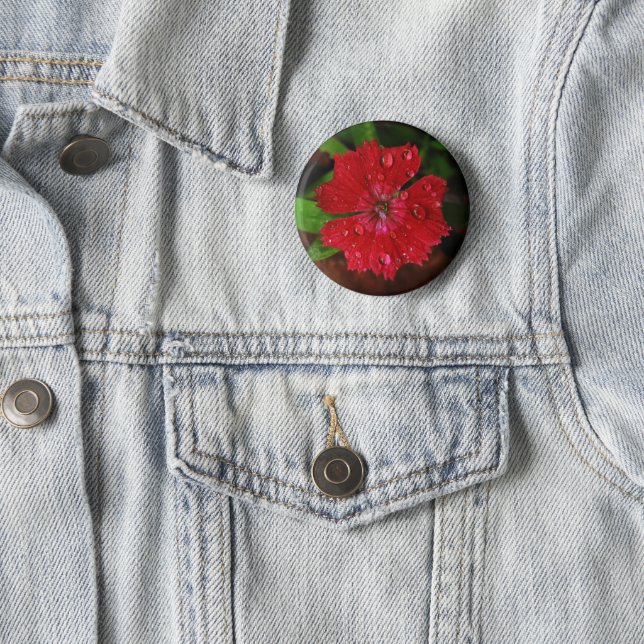 Pretty Red Dianthus Flower With Raindrops Photo Pinback Button (In Situ)
