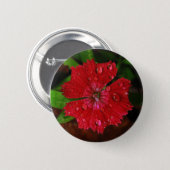 Pretty Red Dianthus Flower With Raindrops Photo Pinback Button (Front & Back)