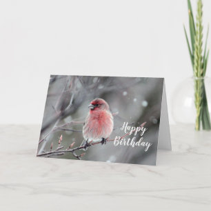 Pretty Red Finch Photo Birthday Card