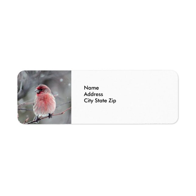 Pretty Red Finch Photo Label (Front)