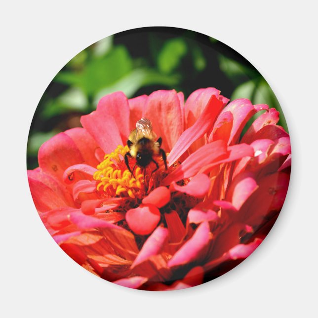 Pretty red floral and honeybee magnet (Front)