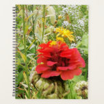 Pretty red flower. planner<br><div class="desc">Taken in Zeeland , in Holland.</div>