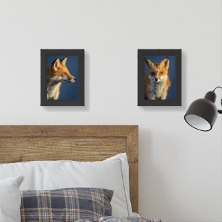 Pretty Red Fox Wall Art Sets
