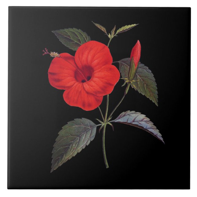 Pretty Red Hibiscus Flower Ceramic Tile (Front)