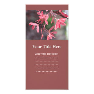 Pretty red Japanese maple tree seeds, samara fruit Card
