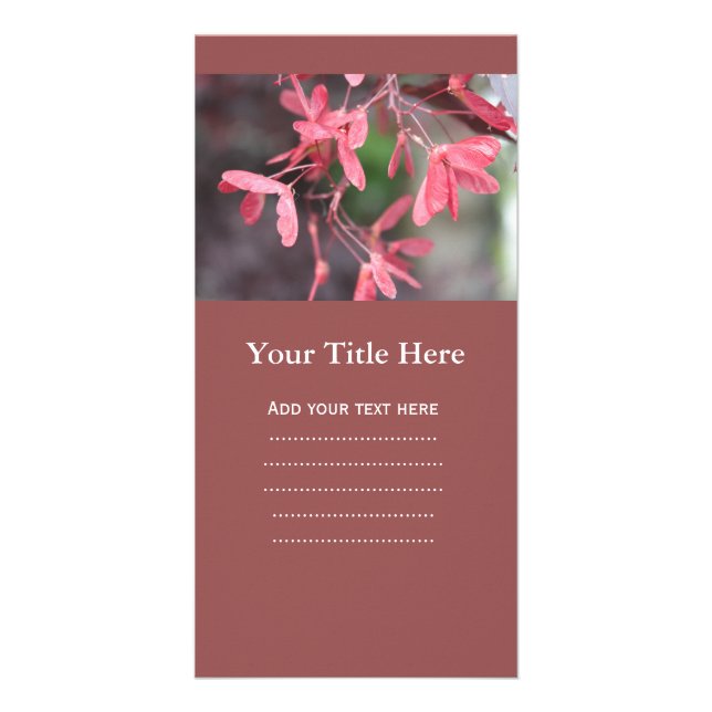 Pretty red Japanese maple tree seeds, samara fruit Card (Front)
