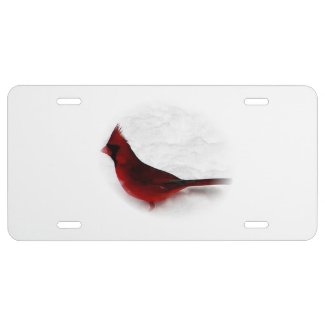 Pretty Red Northern Cardinal Bird License Plate