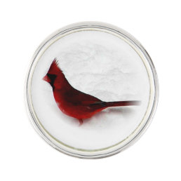 Pretty Red Northern Cardinal Bird Pin