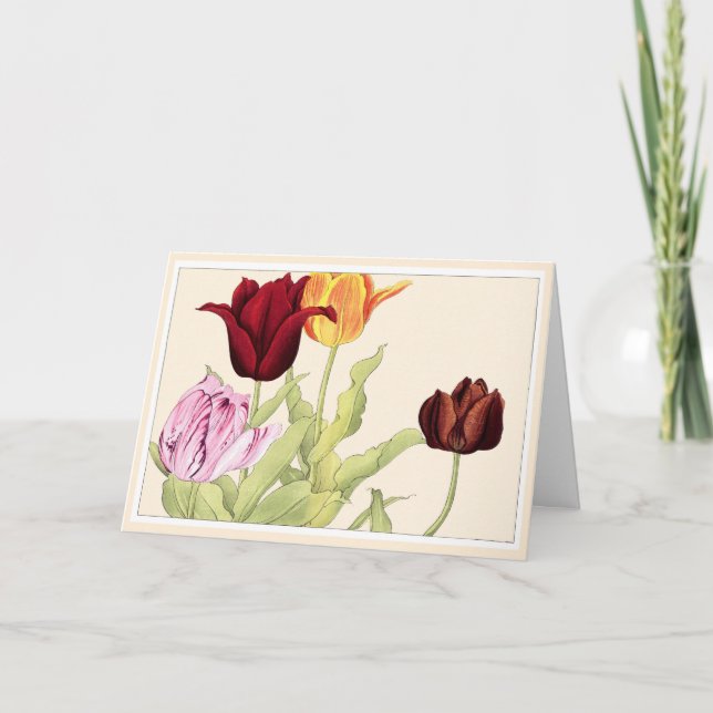 Pretty Red Orange & Pink Tulips Botanical Art Card (Front)