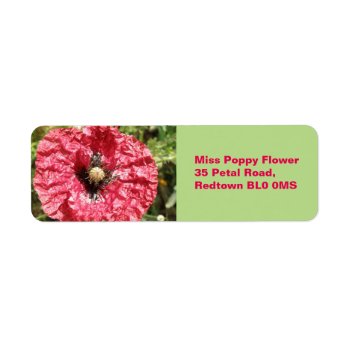 Pretty Red Poppy Flower Macro Custom Labels by Fallen_Angel_483 at Zazzle