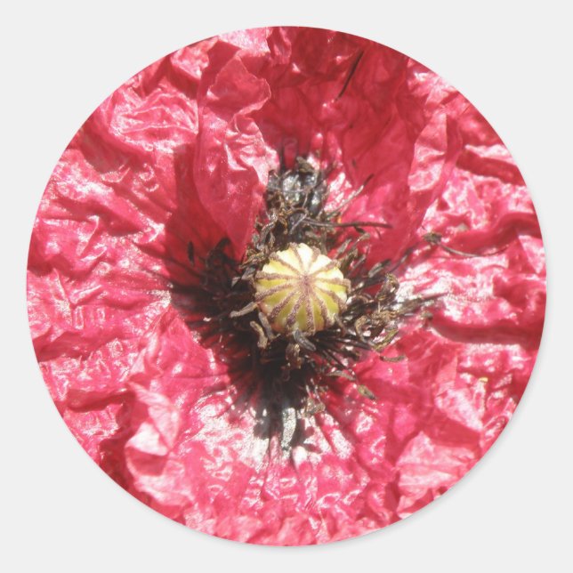 Pretty Red Poppy Flower Macro Stickers (Front)