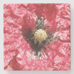 Pretty Red Poppy Flower Macro Stone Coaster