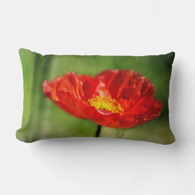 Pretty red poppy flowers lumbar pillow (Front)