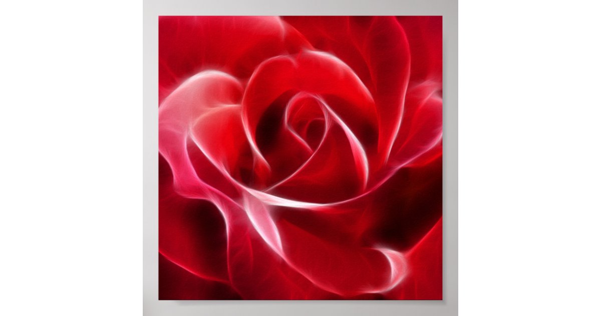 Pretty Red Rose Poster | Zazzle.com