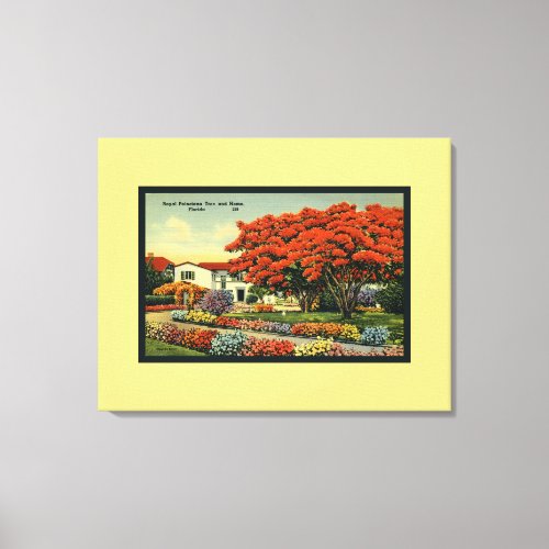 Pretty Retro Yellow Royal Poinciana Tree Florida Canvas Print
