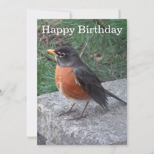 Pretty Robin Photo Birthday Flat Card