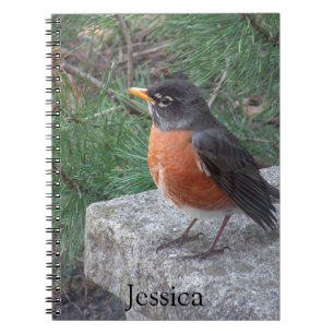 Pretty Robin Photo Personalized Name Notebook