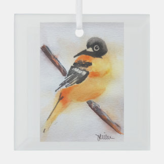 Pretty Robin Watercolor Christmas Glass Ornament