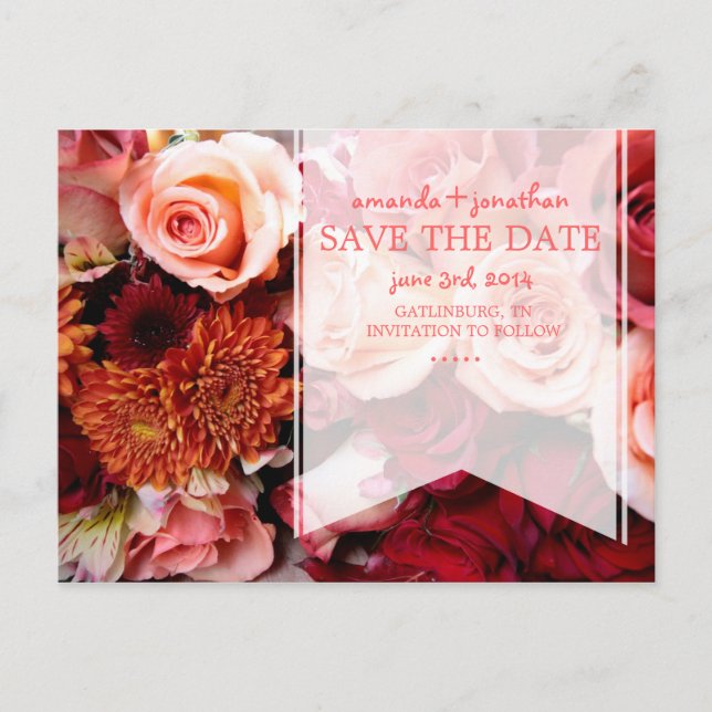 Pretty Romantic Pink Roses Save The Date Announcement Postcard (Front)