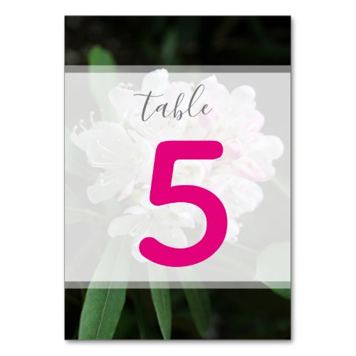 Pretty Romantic Rhododendron PinkTable Number Table Number