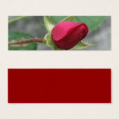 Pretty Rose Bookmark (Front & Back)