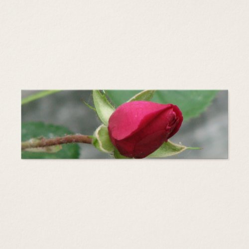 Pretty Rose Bookmark Business Cards