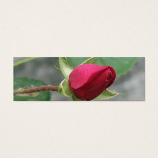 Customizable Pretty Rose Bookmark Business Cards