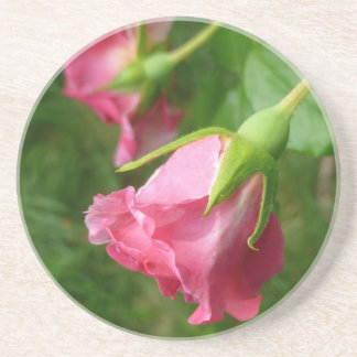 Pretty rose coaster