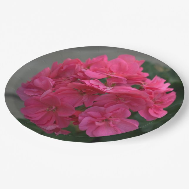 Pretty Rose Geranium Floral Paper Plates (Angled)