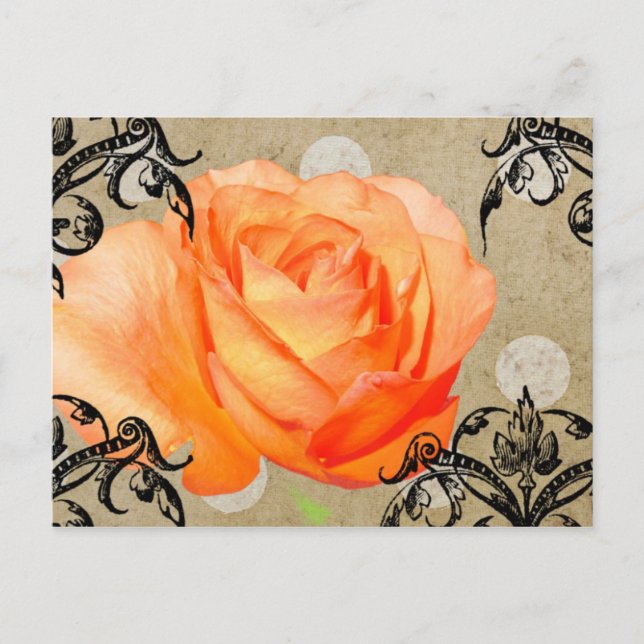 Pretty Rose Postcard (Front)