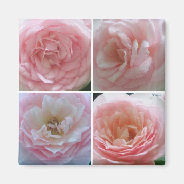 Pretty Roses Magnet (Front)
