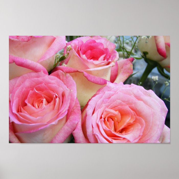 Pretty Roses Posters