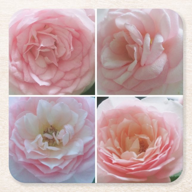 Pretty Roses Square Paper Coaster (Front)