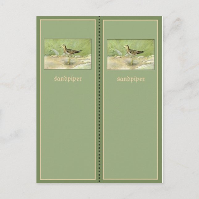 Pretty Sandpiper Bookmark Postcard (Front)