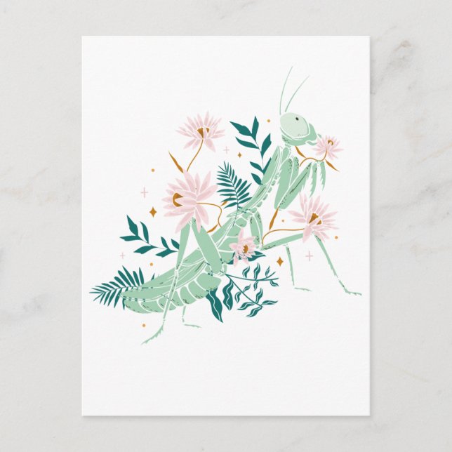 PRETTY SAUTERELLE POSTCARD (Front)