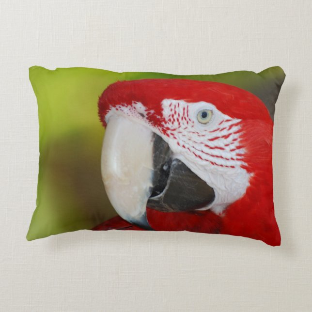 Pretty Scarlet Macaw Decorative Pillow (Back)