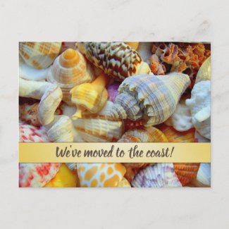 Pretty Seashells Coastal New Address Announcement Postcard