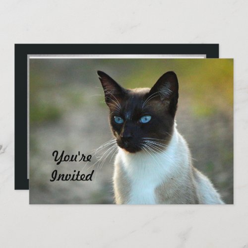Pretty Siamese Cat Photo Birthday Invitation