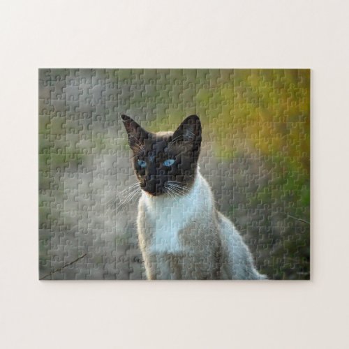 Pretty Siamese Cat Photo Jigsaw Puzzle