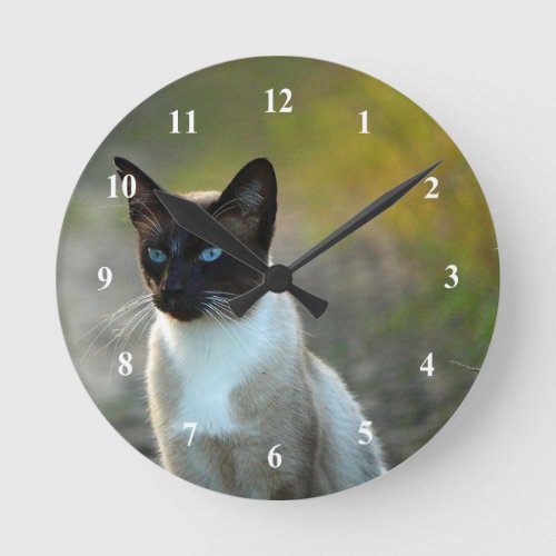 Pretty Siamese Cat Photo Round Clock