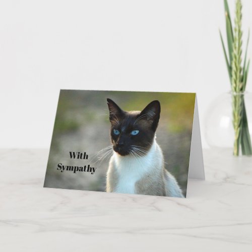 Pretty Siamese Cat Photo Sympathy Card