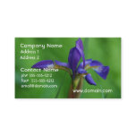 Pretty Siberian Iris Business Card