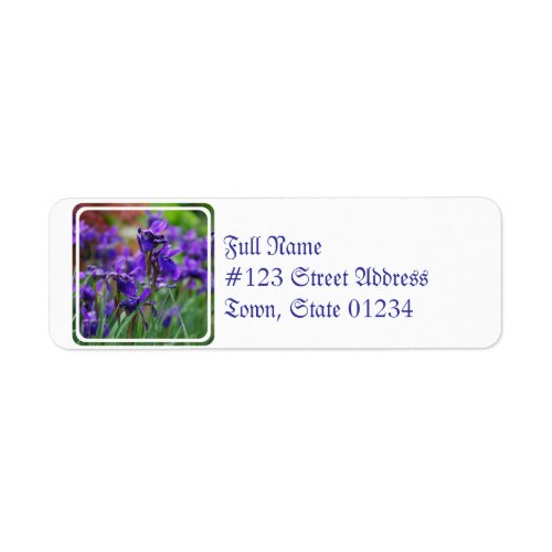 Pretty Siberian Iris Label