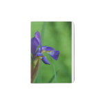 Pretty Siberian Iris Passport Holder